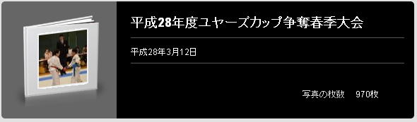 平成28年度ユヤーズカップ争奪春季大会